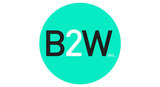 Large logob2w